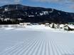 Pistenangebot Rofangebirge – Pistenangebot Schneeberglifte – Mitterland (Thiersee)