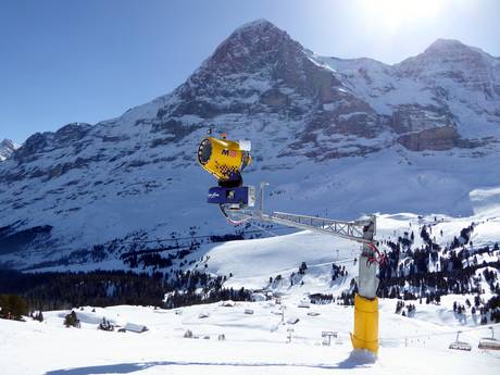 Schneesicherheit Espace Mittelland – Schneesicherheit Kleine Scheidegg/Männlichen – Grindelwald/Wengen