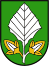 Schneiderkopf – Buch